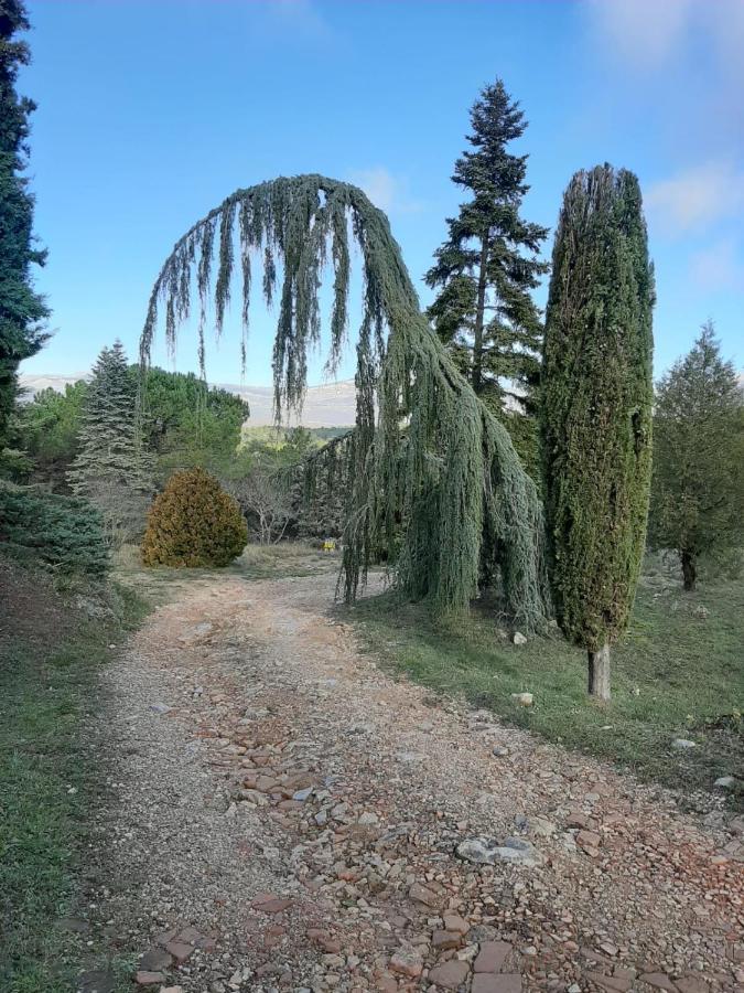 Готель Domaine De La Xavoliere Saint-Cezaire-sur-Siagne Екстер'єр фото