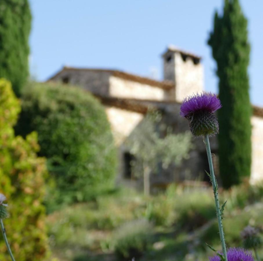 Готель Domaine De La Xavoliere Saint-Cezaire-sur-Siagne Екстер'єр фото